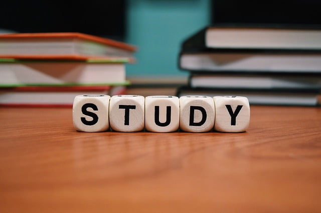 Busy Bee English – Session 2