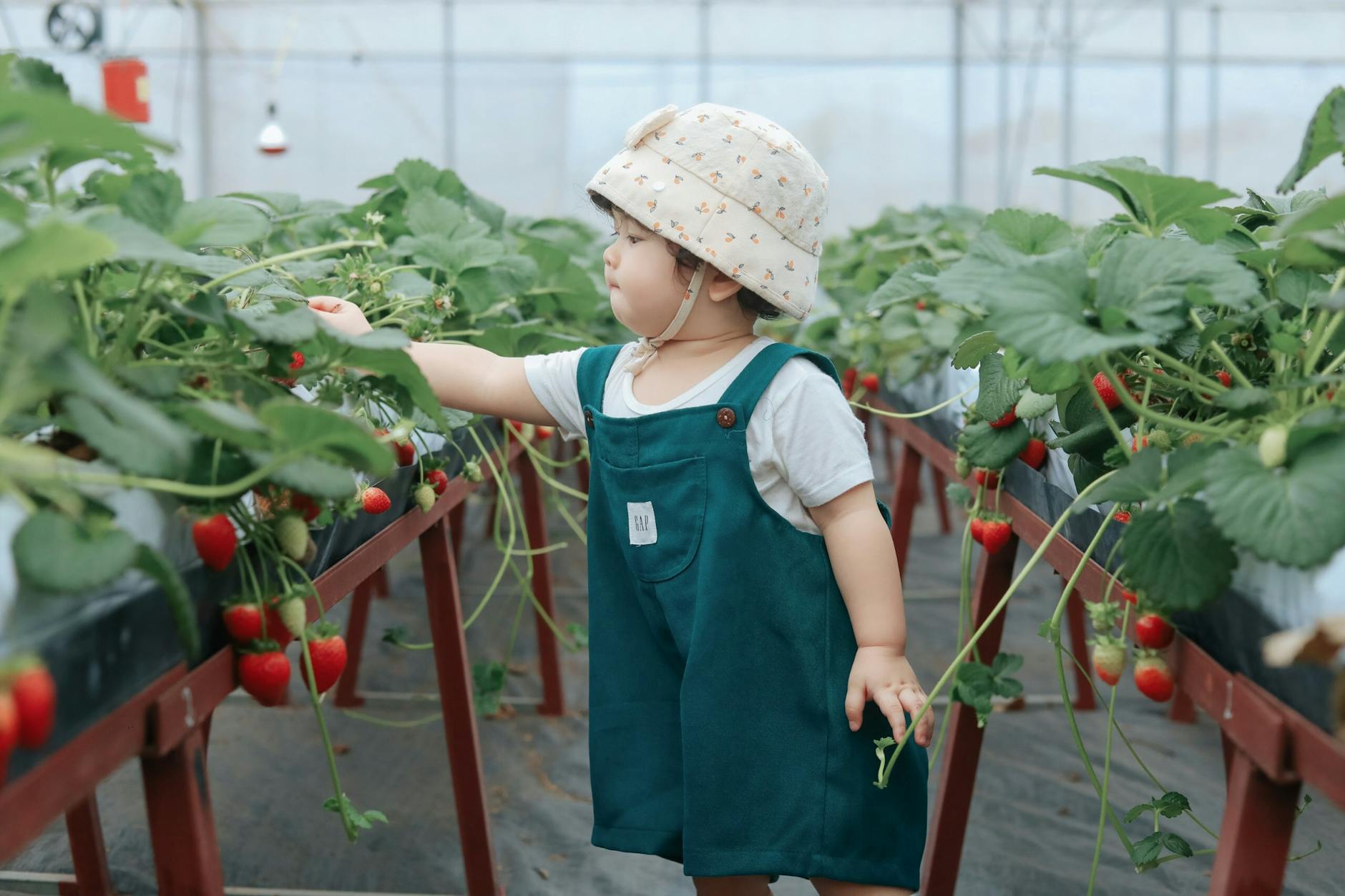 girl in hat among plants in greenhouse