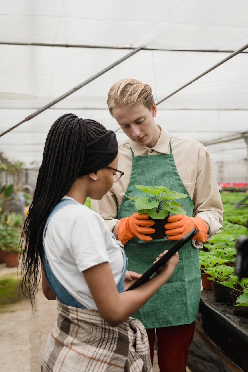 man and woman looking at the plant