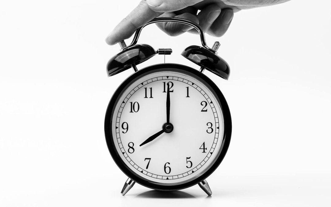WHAT BUSY BEE EDITING CAN DO FOR YOU