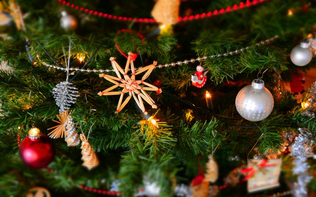 Greetings, Happy Christmas and a Fruitful New Year to all our Clients, Students, Authors and Business Owners.