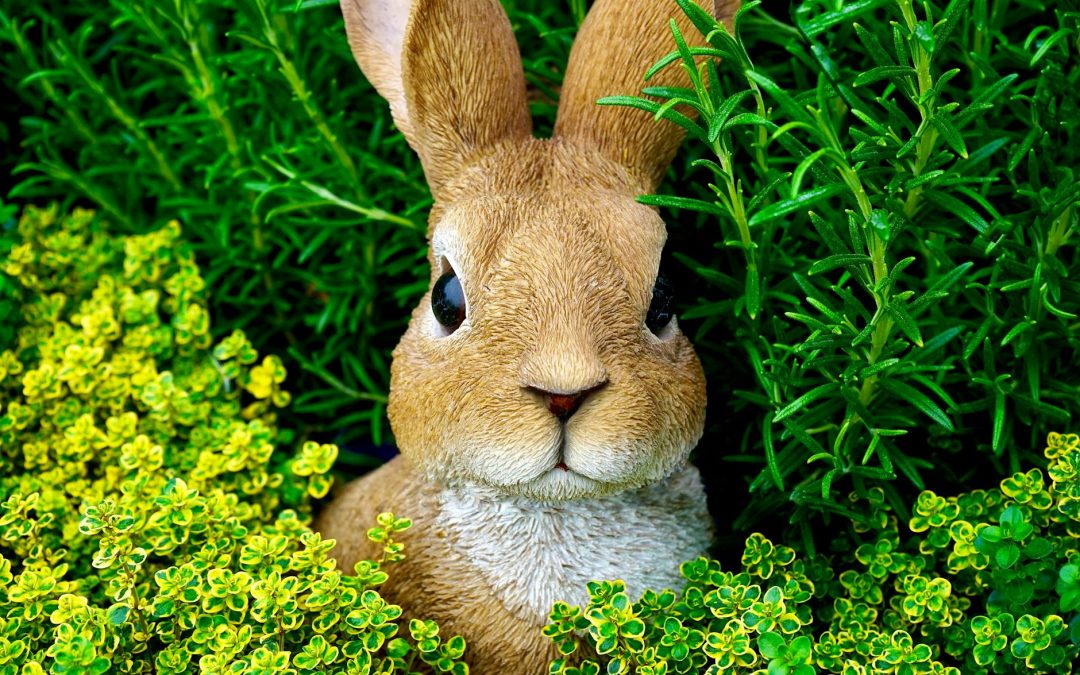 EASTER WEEKEND STARTS FRIDAY